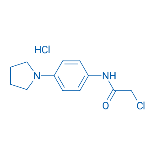2-Chloro-N-[4-(pyrrolidin-1-yl)phenyl]acetamide hydrochloride 1g