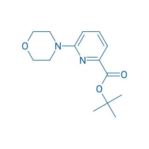 tert-Butyl 6-morpholinopicolinate 5g