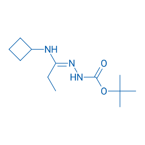 tert-Butyl 2-(1-(cyclobutylamino)propylidene)hydrazinecarboxylate 1g
