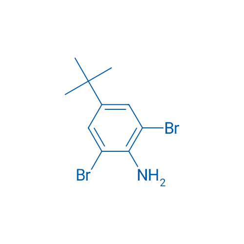 2,6-Dibromo-4-(tert-butyl)aniline 1000g