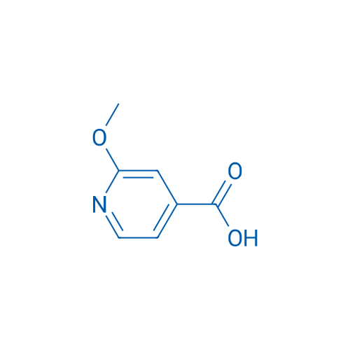 2-Methoxyisonicotinic acid 10g