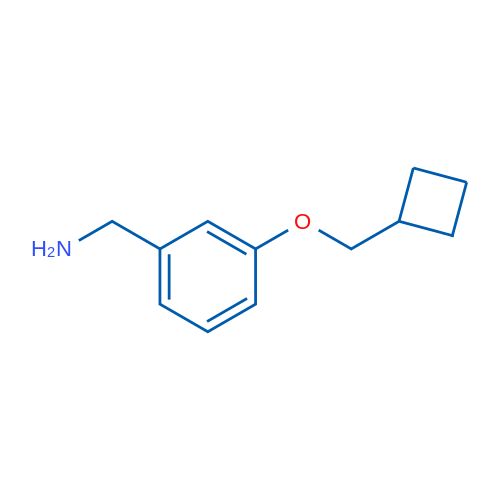 (3-(Cyclobutylmethoxy)phenyl)methanamine 1g