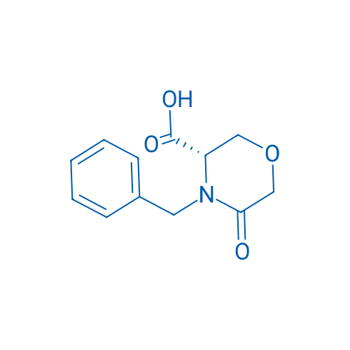 (S)-4-Benzyl-5-oxomorpholine-3-carboxylic acid 1g