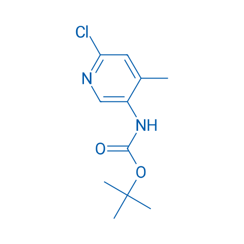 tert-Butyl (6-chloro-4-methylpyridin-3-yl)carbamate 1g