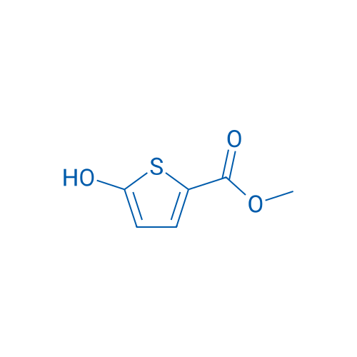 Methyl 5-hydroxythiophene-2-carboxylate 1g