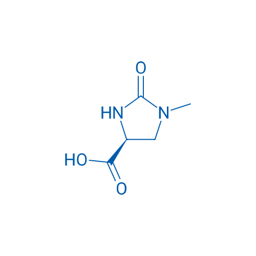(S)-1-methyl-2-oxoimidazolidine-4-carboxylic acid 250mg