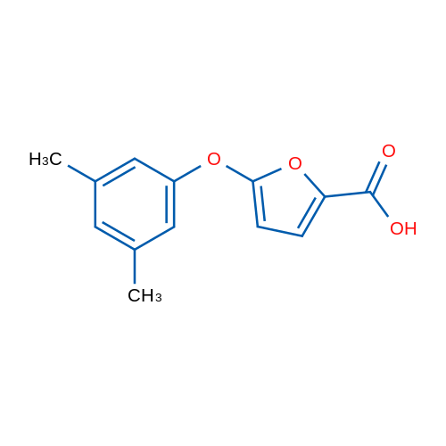 5-(3,5-Dimethylphenoxy)furan-2-carboxylic acid 1g