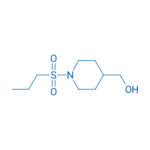 (1-(Propylsulfonyl)piperidin-4-yl)methanol 1g