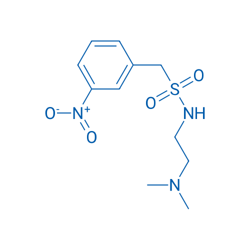 N-(2-(Dimethylamino)ethyl)-1-(3-nitrophenyl)methanesulfonamide 1g