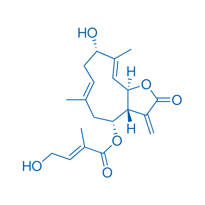 Eupalinolide K 1mg