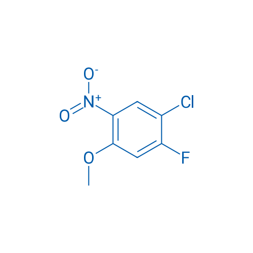 1-Chloro-2-fluoro-4-methoxy-5-nitrobenzene 1g