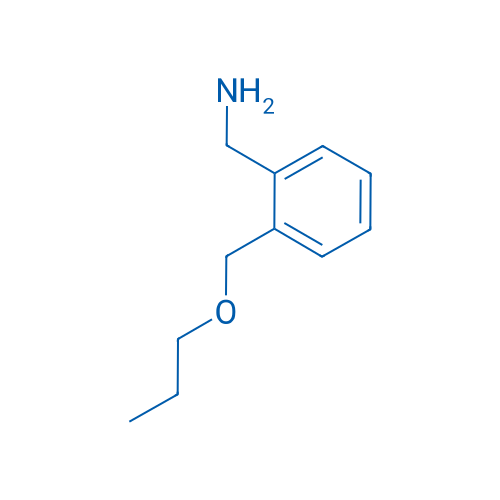 (2-(Propoxymethyl)phenyl)methanamine 1g