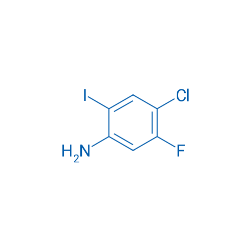 4-Chloro-5-fluoro-2-iodoaniline 1g