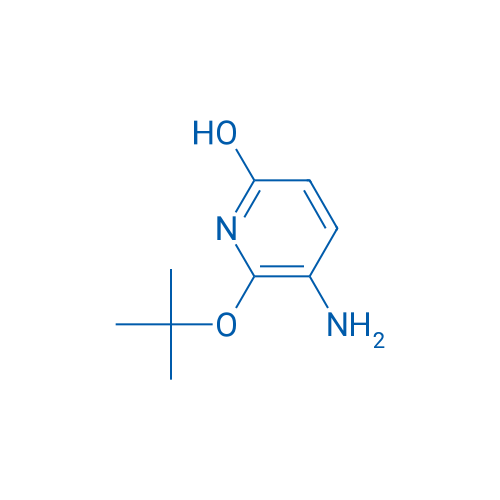 5-Amino-6-(tert-butoxy)pyridin-2-ol 1g