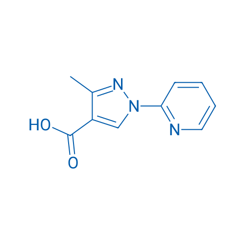3-Methyl-1-(pyridin-2-yl)-1h-pyrazole-4-carboxylic acid 1g