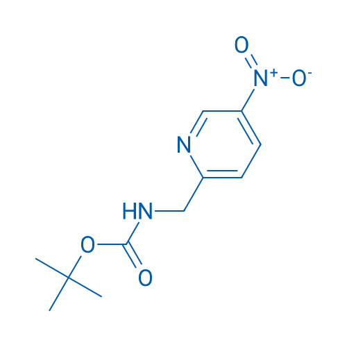tert-Butyl N-[(5-nitropyridin-2-yl)methyl]carbamate 1g