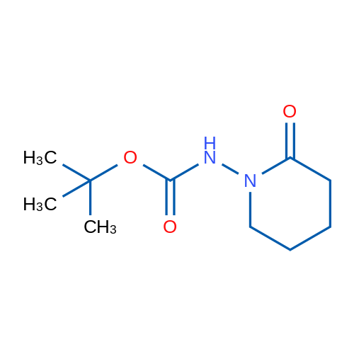 tert-Butyl (2-oxopiperidin-1-yl)carbamate 1g