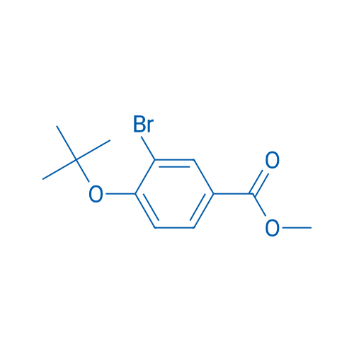 Methyl 3-bromo-4-(tert-butoxy)benzoate 1g