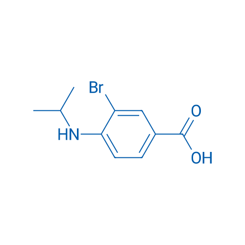 3-Bromo-4-(isopropylamino)benzoic acid 1g