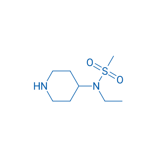 N-Ethyl-N-(piperidin-4-yl)methanesulfonamide 1g