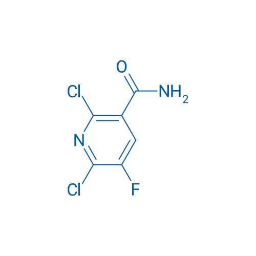 2,6-Dichloro-5-fluoronicotinamide 500g
