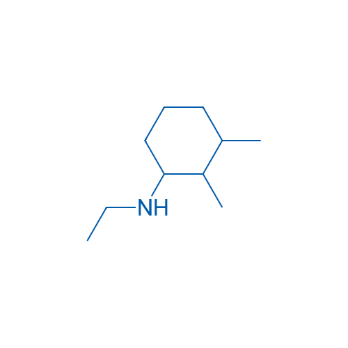 N-Ethyl-2,3-dimethylcyclohexan-1-amine 1g
