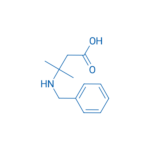 3-(Benzylamino)-3-methylbutanoic acid 100g