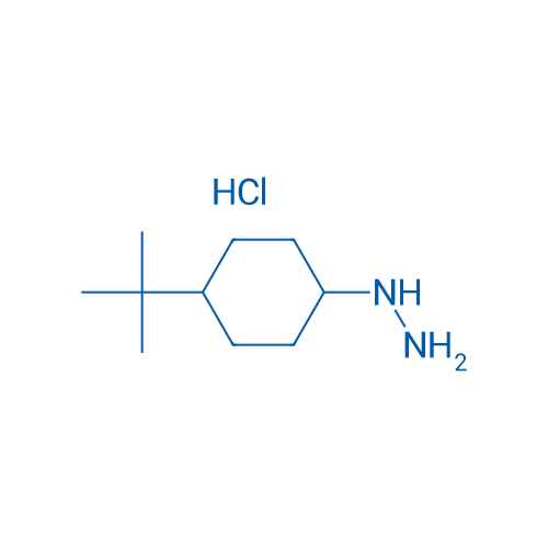 (4-tert-butylcyclohexyl)hydrazine hydrochloride 1g