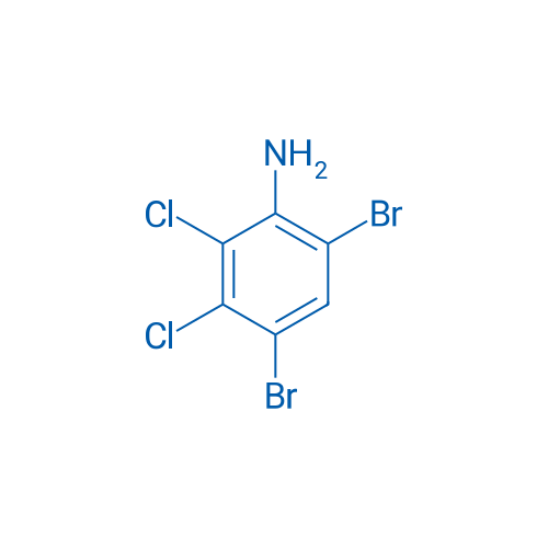 4,6-Dibromo-2,3-dichloroaniline 25g