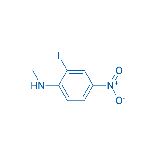 2-Iodo-N-methyl-4-nitroaniline 250mg