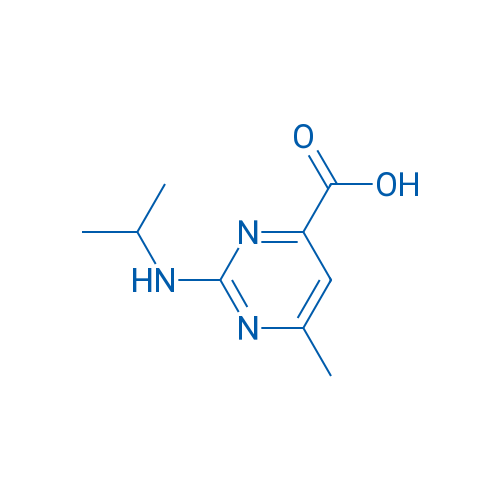 2-(Isopropylamino)-6-methylpyrimidine-4-carboxylic acid 1g