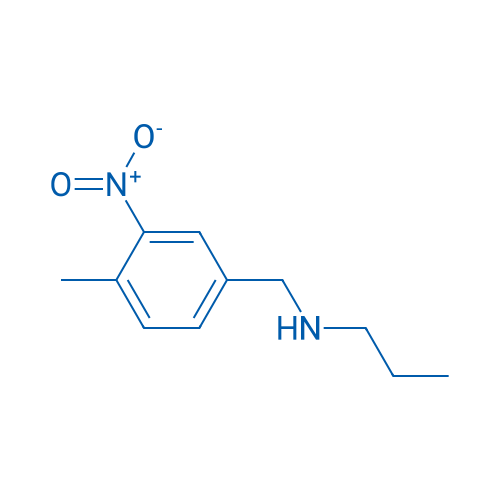 [(4-Methyl-3-nitrophenyl)methyl](propyl)amine 1g