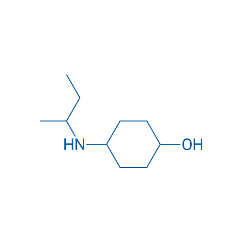 4-[(Butan-2-yl)amino]cyclohexan-1-ol 1g