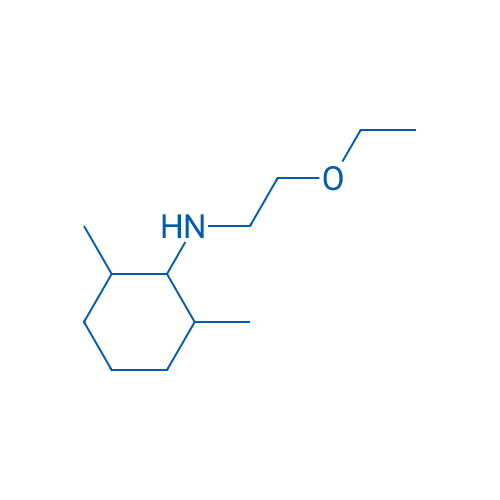 N-(2-Ethoxyethyl)-2,6-dimethylcyclohexan-1-amine 250mg