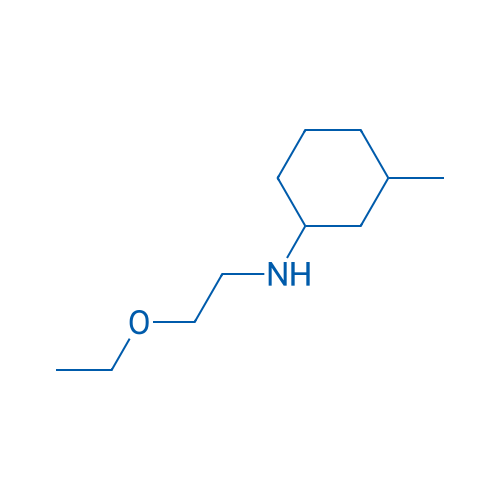 N-(2-Ethoxyethyl)-3-methylcyclohexan-1-amine 10g