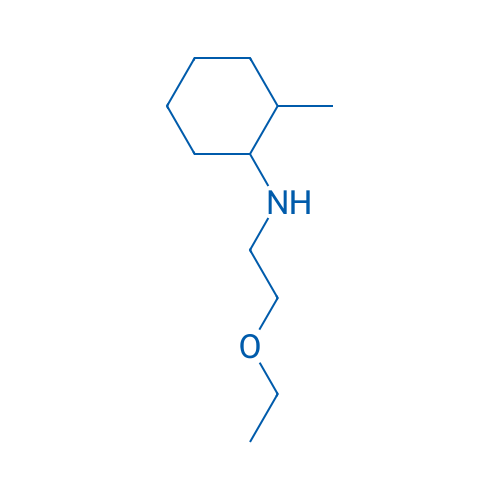 N-(2-Ethoxyethyl)-2-methylcyclohexan-1-amine 10g
