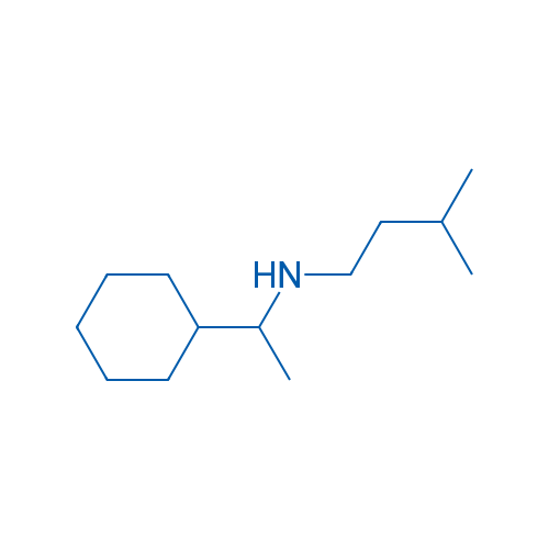 (1-Cyclohexylethyl)(3-methylbutyl)amine 10g