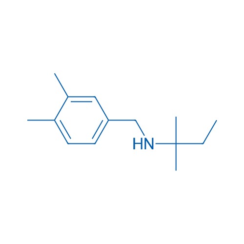 [(3,4-Dimethylphenyl)methyl](2-methylbutan-2-yl)amine 5g