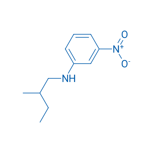 N-(2-Methylbutyl)-3-nitroaniline 1g