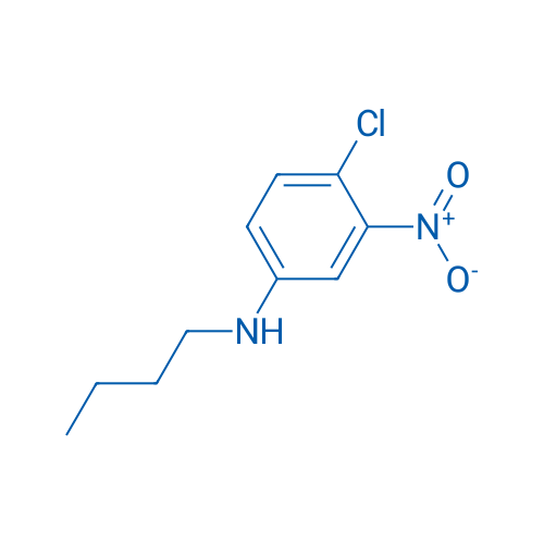 N-Butyl-4-chloro-3-nitroaniline 1g