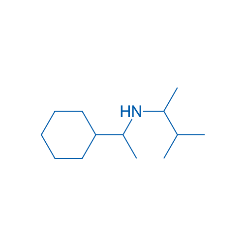 (1-Cyclohexylethyl)(3-methylbutan-2-yl)amine 10g