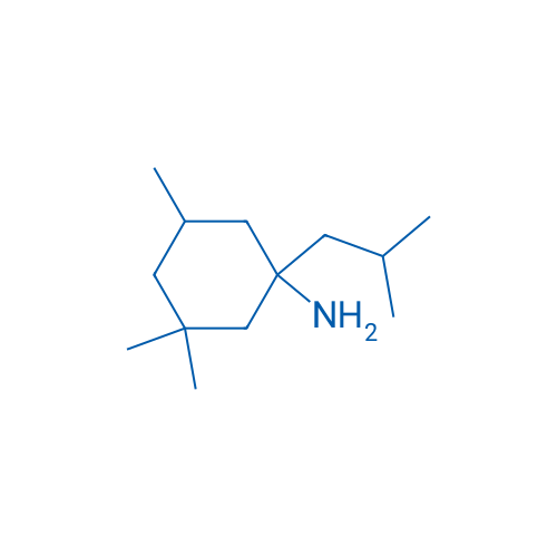 3,3,5-Trimethyl-1-(2-methylpropyl)cyclohexan-1-amine 1g