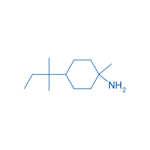 1-Methyl-4-(2-methylbutan-2-yl)cyclohexan-1-amine 1g