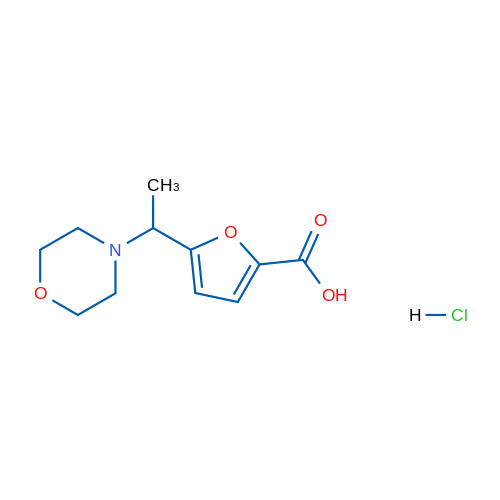 5-(1-Morpholinoethyl)furan-2-carboxylic acid hydrochloride 1g