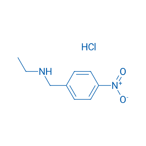 N-(4-Nitrobenzyl)ethanamine hydrochloride 1g