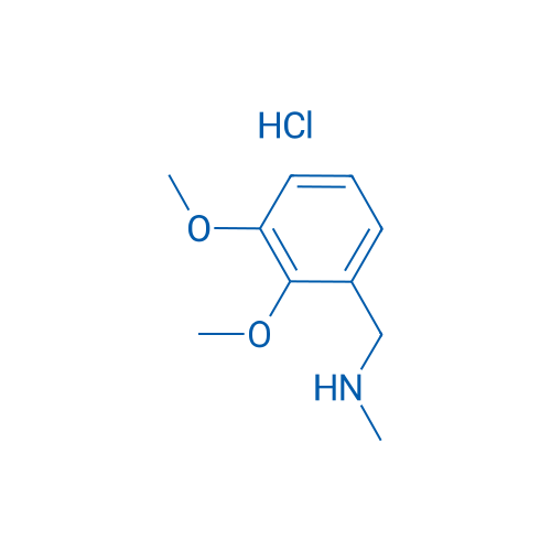 1-(2,3-Dimethoxyphenyl)-N-methylmethanamine hydrochloride 5g