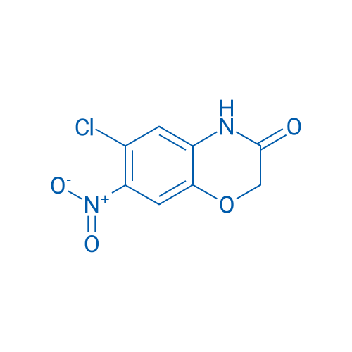 6-Chloro-7-nitro-2H-benzo[b][1,4]oxazin-3(4H)-one 5g