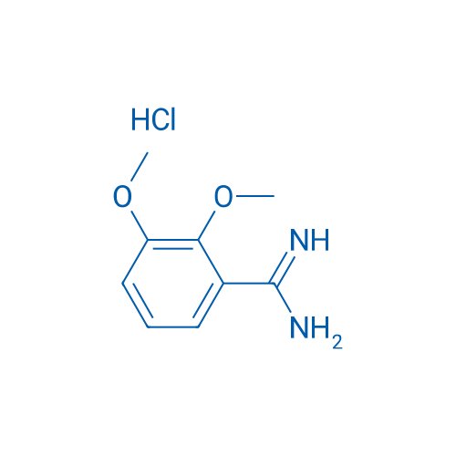 2,3-Dimethoxy-benzamidine hydrochloride 1g
