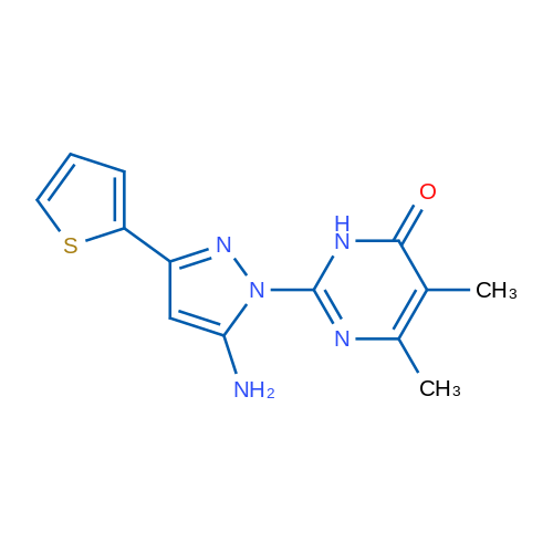 2-[5-amino-3-(2-thienyl)-1H-pyrazol-1-yl]-5,6-dimethylpyrimidin-4(3H)-one 250mg