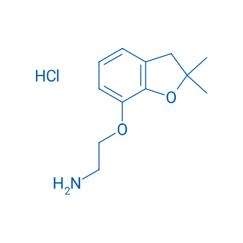 2-[(2,2-DImethyl-2,3-dihydro-1-benzofuran-7-yl)oxy]ethanamine hydrochloride 1g